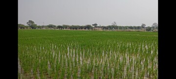 Plot Area in  Plot at Dakoor – for Sale