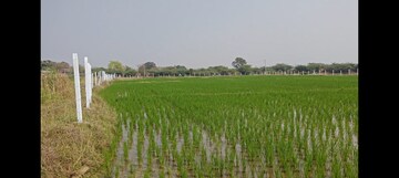 Plot Area in  Plot at Dakoor – for Sale