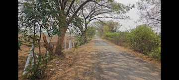 Plot Area in  Plot at Dakoor – for Sale