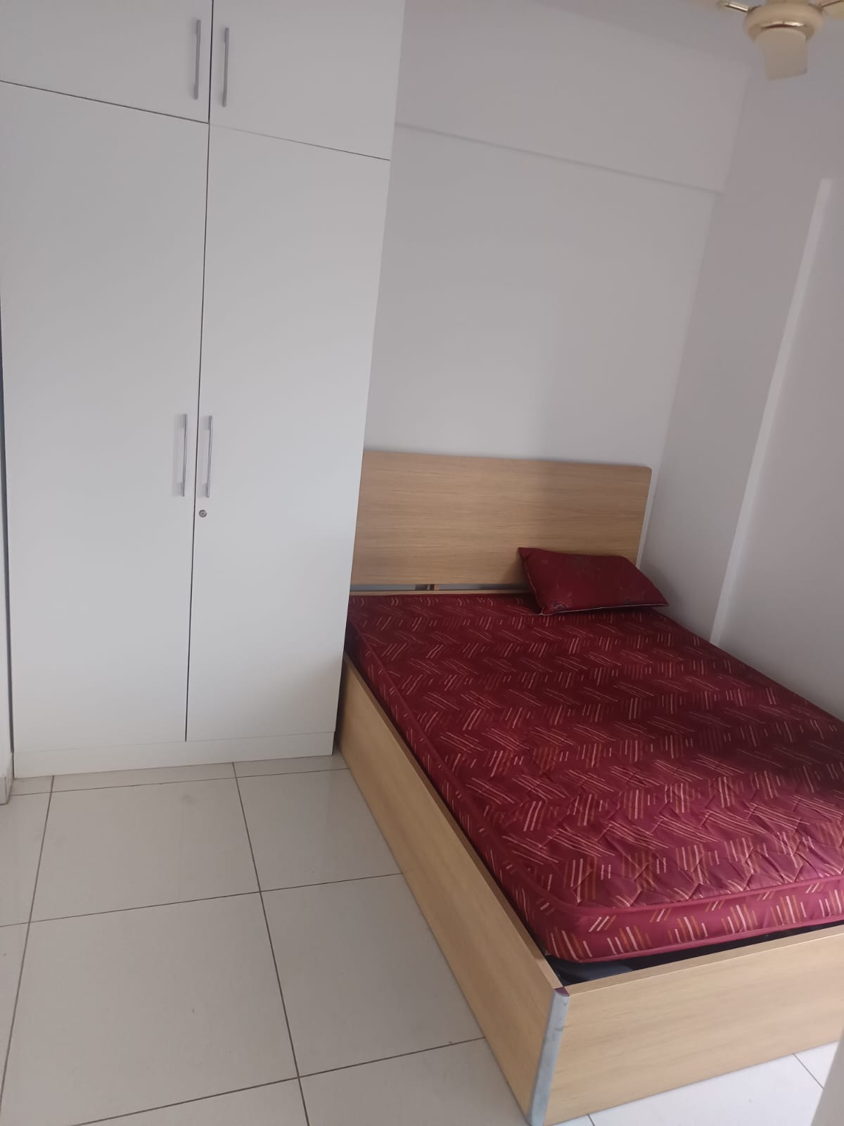 2.5 BHK Apartment For Rent in Icon Homz Iconest 3