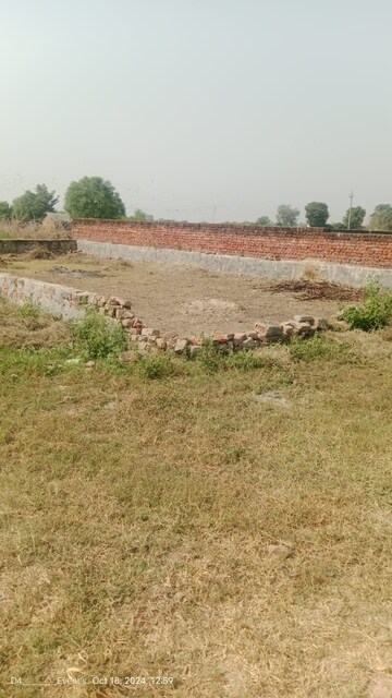  Plot For Sale in Dalelpur Village