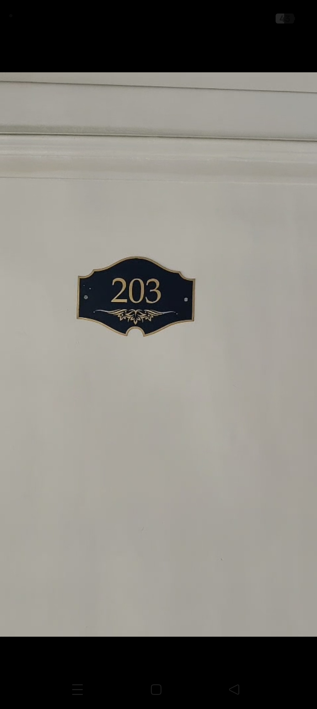 3 BHK Apartment For Rent in Omaxe The Palace