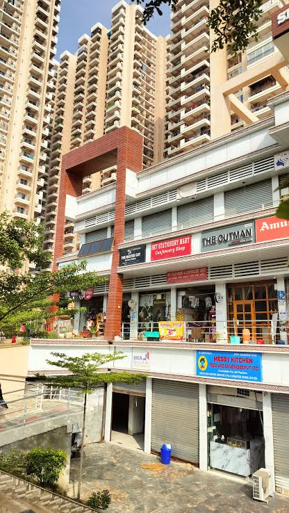 3 BHK Apartment For Sale in SKA Metro Ville