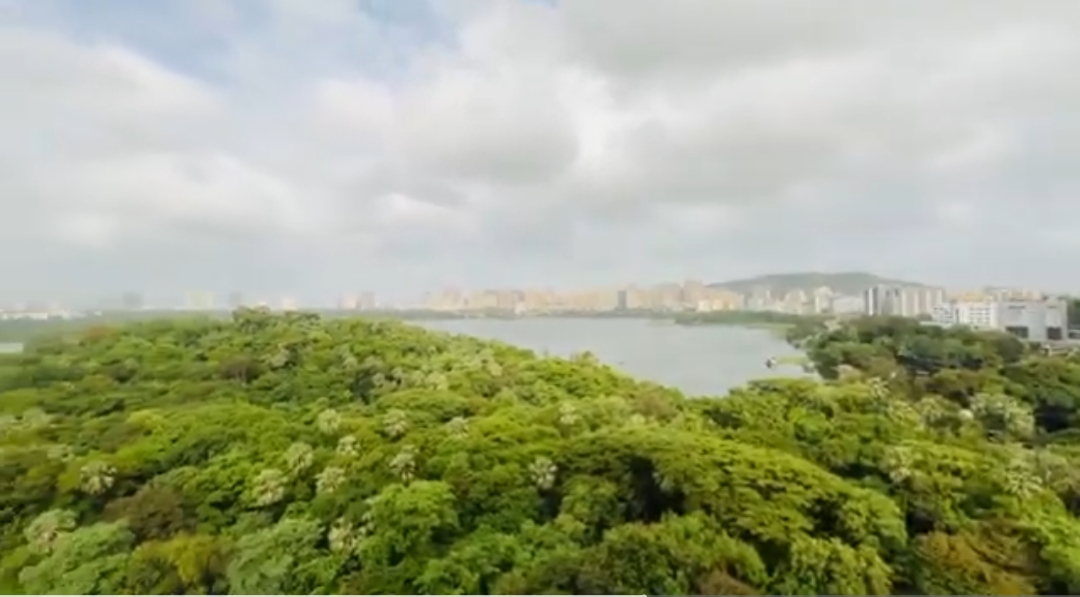 4 BHK + Servant Room Apartment For Rent in LnT Elixir Reserve