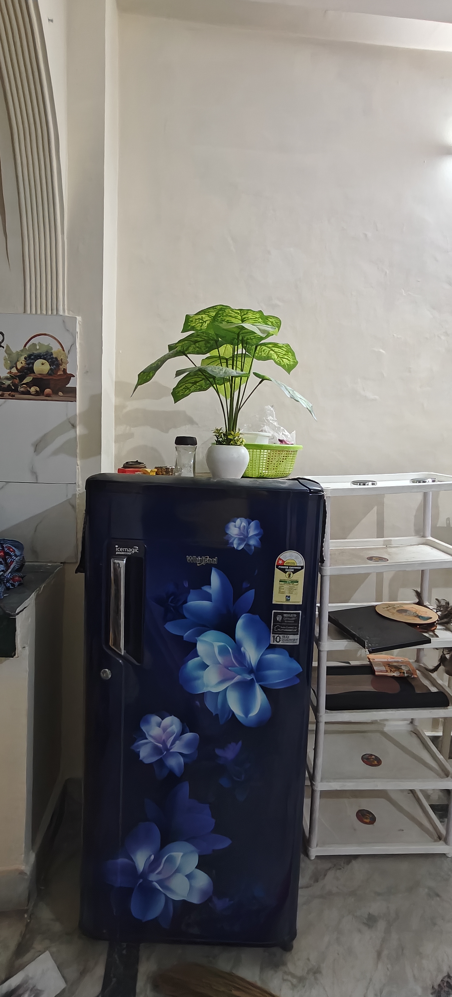 1 BHK Builder Floor For Rent in Mayur Vihar Phase 1