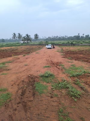  Plot For Sale in Chippada