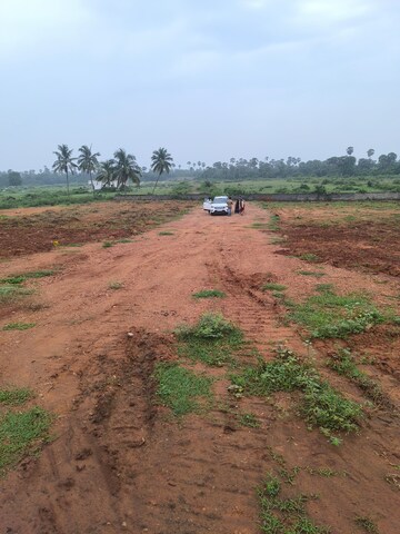  Plot For Sale in Chippada