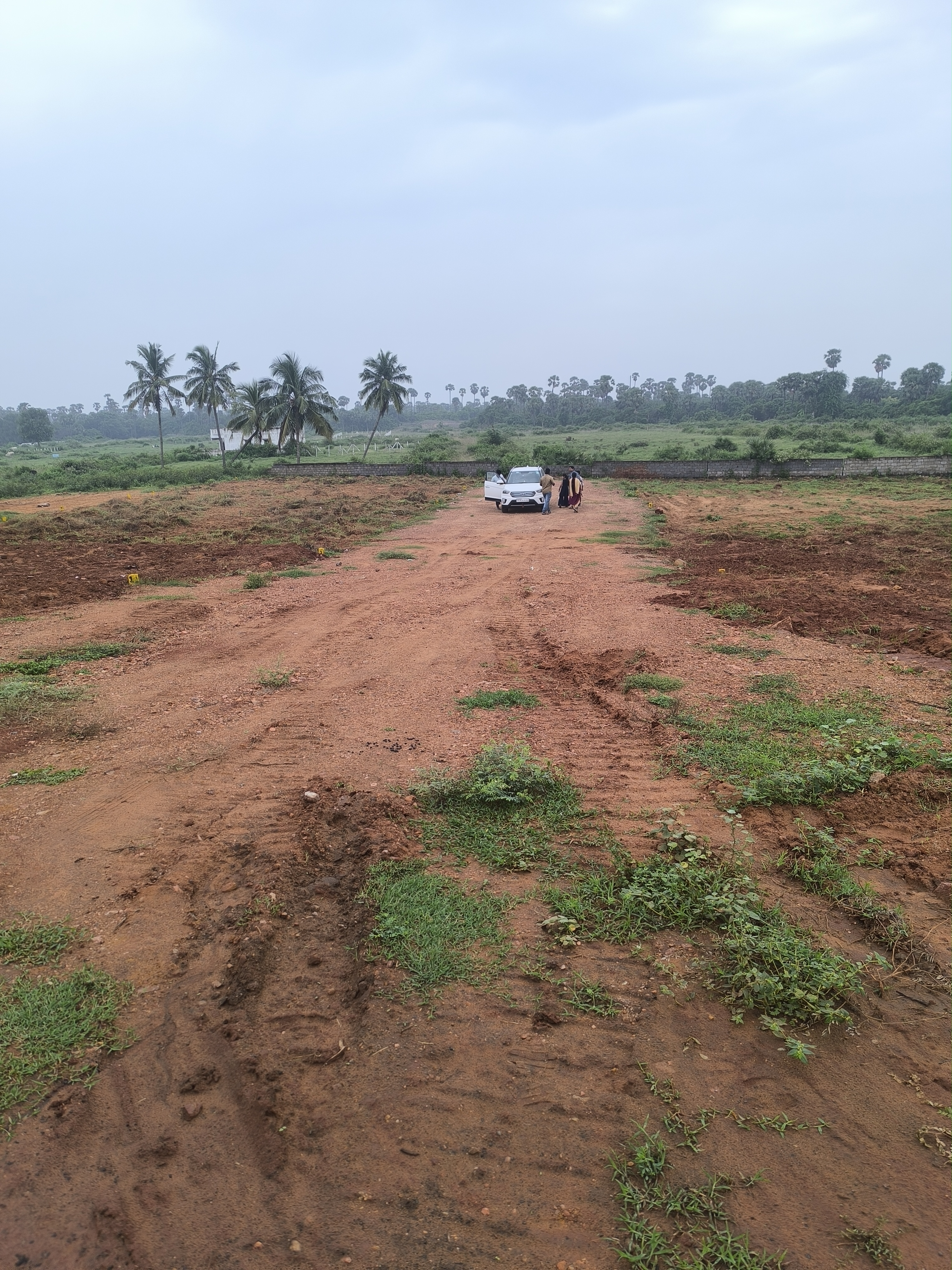 Plot For Sale in Beach Vuew Panchayat Appr