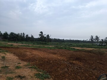 Plot Area in  Plot at Chippada – for Sale