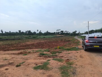 Plot Area in  Plot at Chippada – for Sale