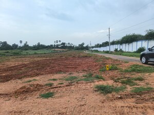 Plot Area in  Plot at Chippada – for Sale