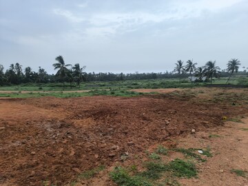 Plot Area in  Plot at Chippada – for Sale