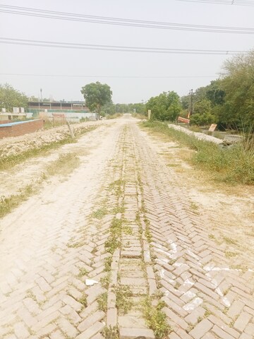 Plot Area in  Plot at Dankaur – for Sale