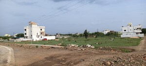 Plot Area in  Plot at Nara – for Sale