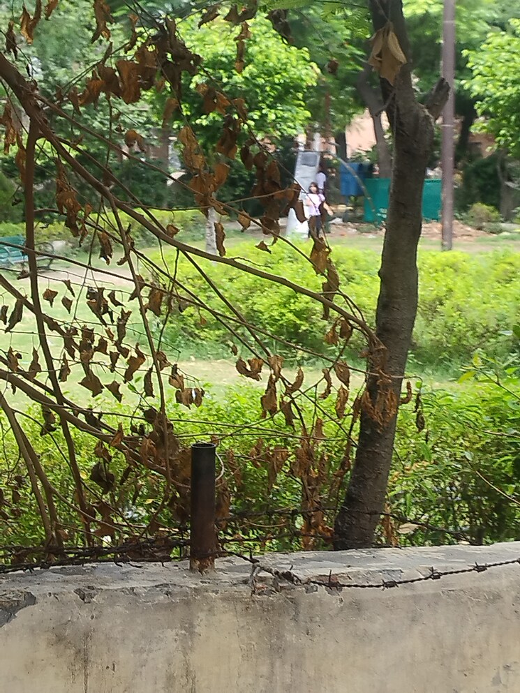 Garden, nandgram 2 Bedroom 54 Sq.Yd. Independent House In Nandgram Ghaziabad 8897639