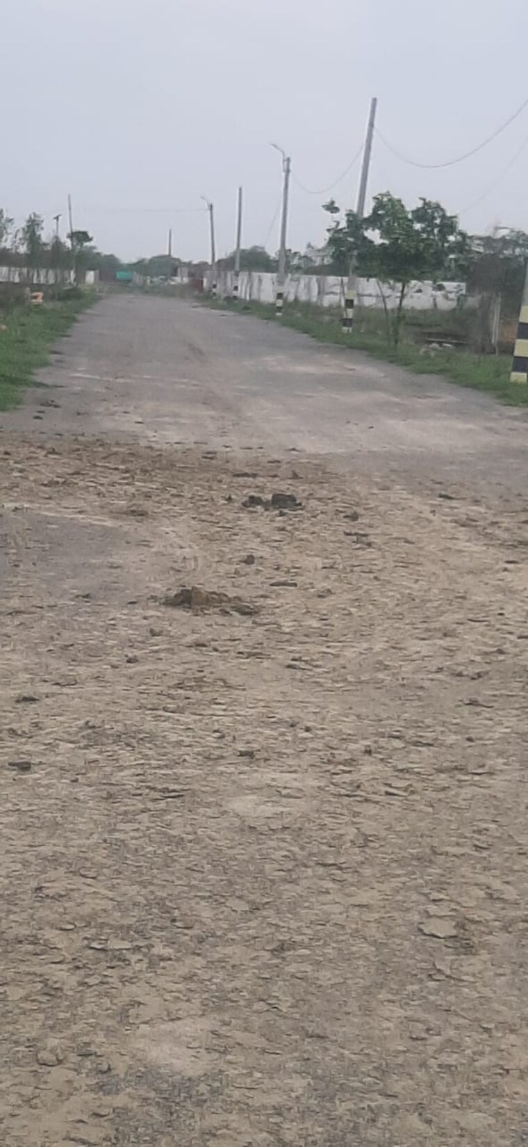 undefined, raebareli road  1115 Sq.Ft. Plot In Raebareli Road Lucknow 8898124