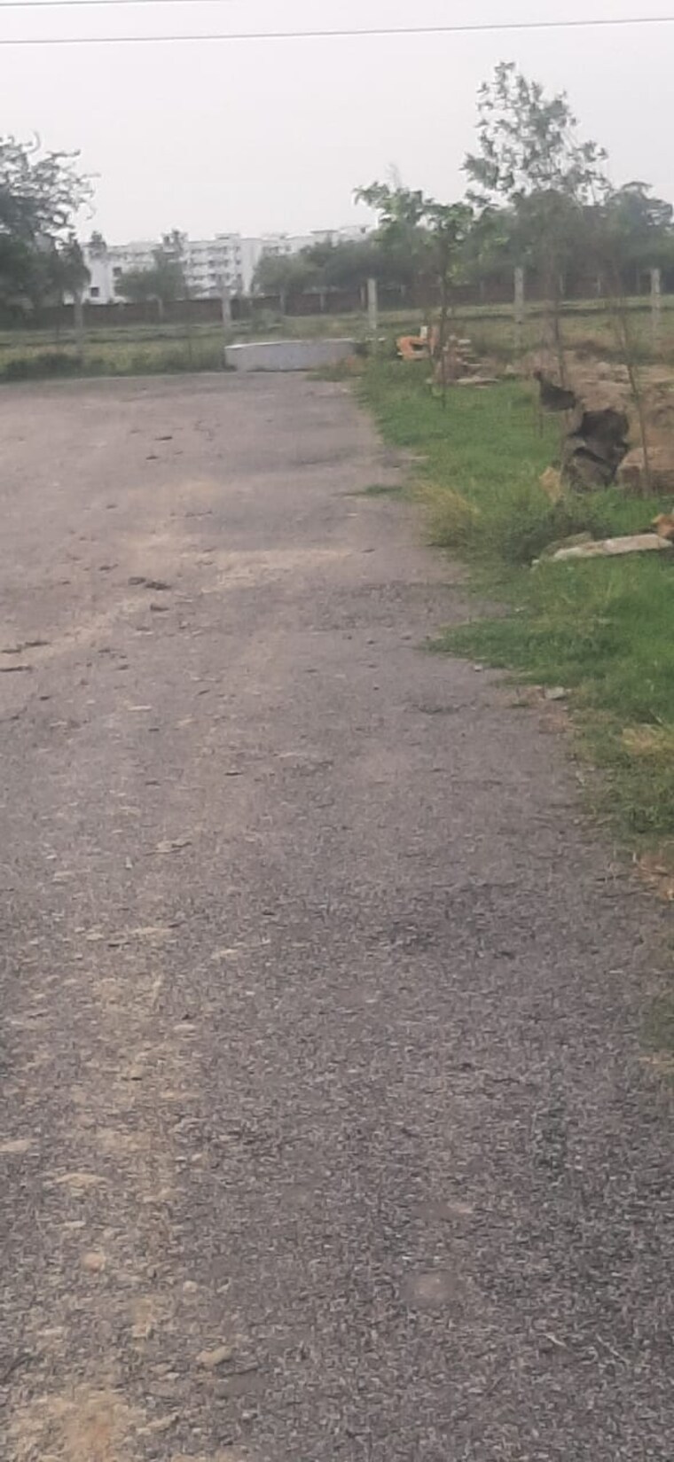 undefined, raebareli road  1115 Sq.Ft. Plot In Raebareli Road Lucknow 8898124