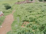 200 Sq.Yd. Plot in Bhogapuram Real Estates 