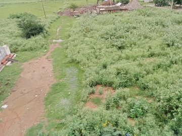  Plot For Sale in Tagarapuvalasa