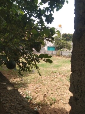  Plot For Sale in Rose Garden Kalkere, Kalkere