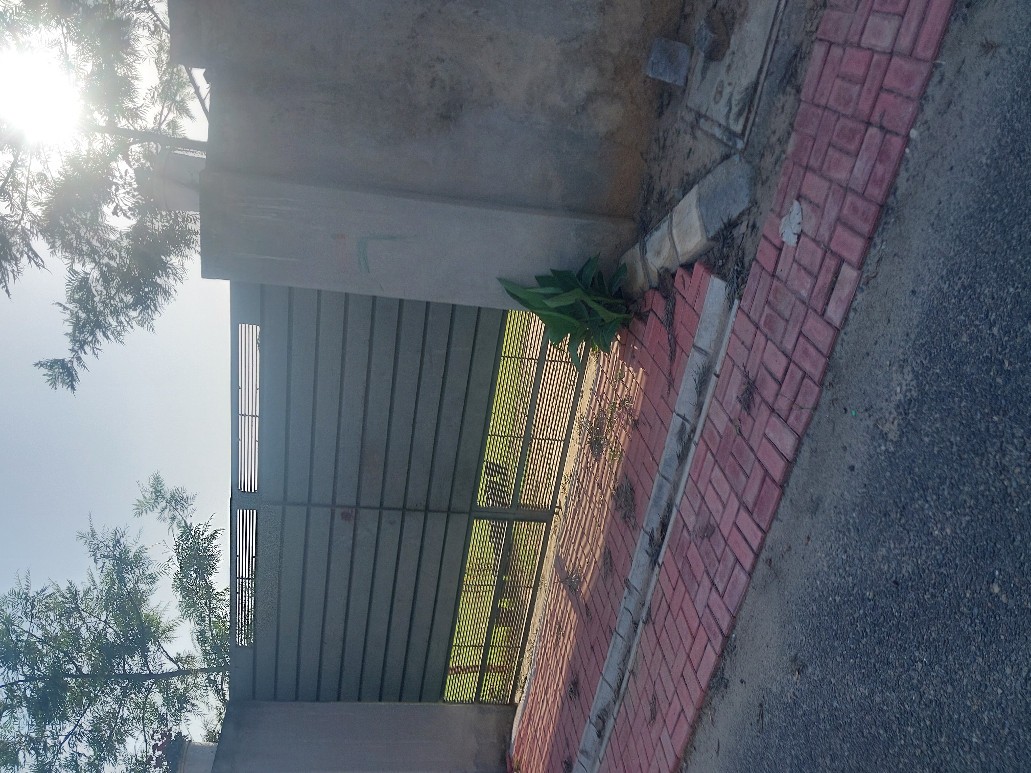 Plot For Sale in Shaheed Bhagat Singh Nagar