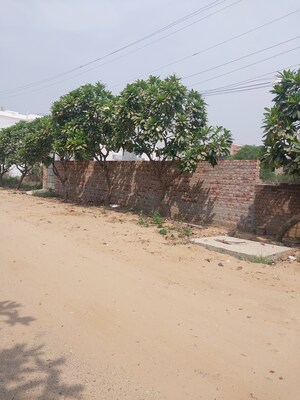  Plot For Sale in Shaheed Bhagat Singh Nagar