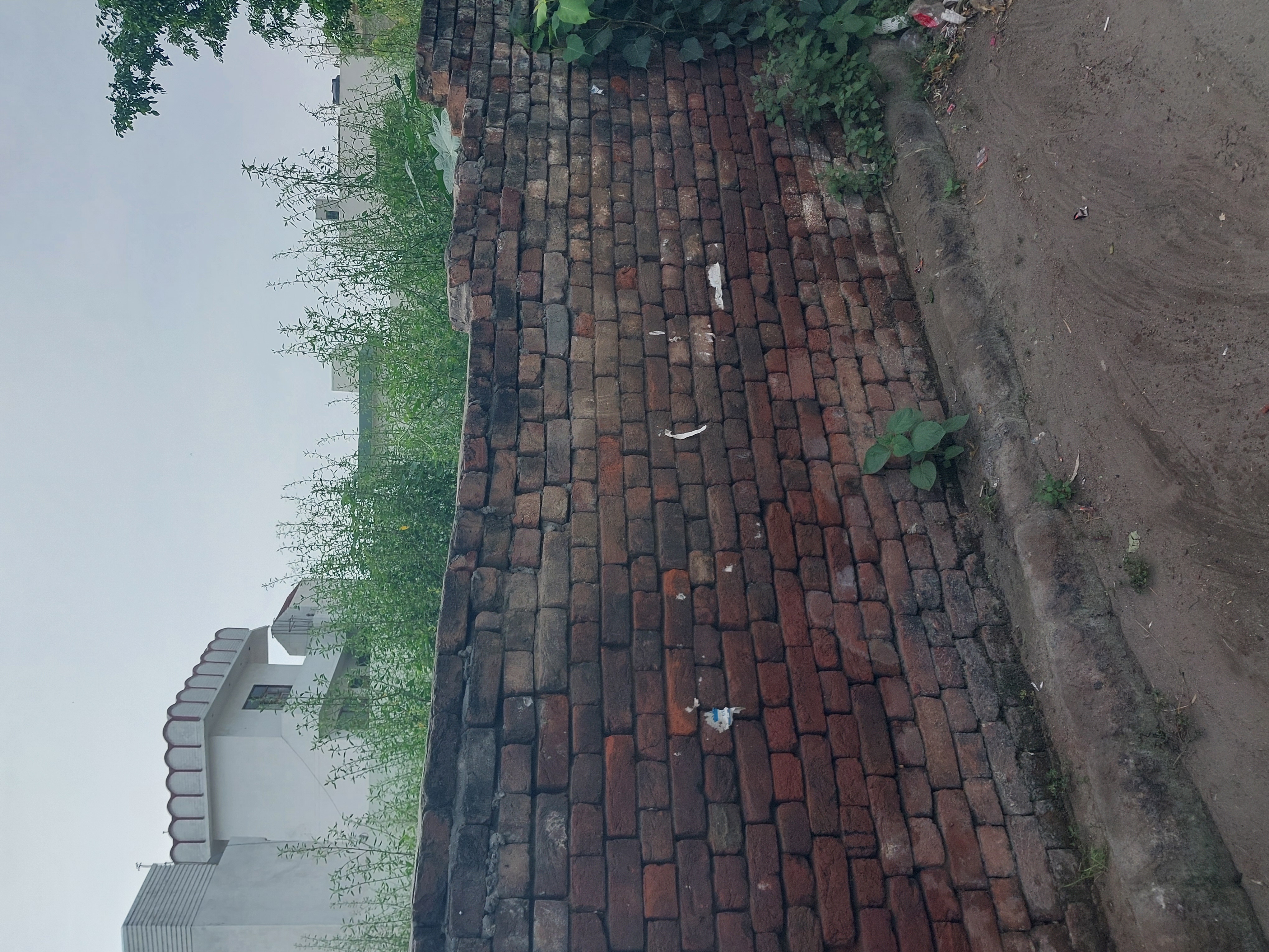 Plot For Sale in Shaheed Bhagat Singh Nagar