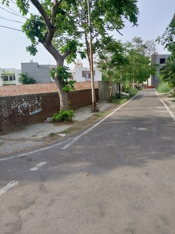  Plot For Sale in Shaheed Bhagat Singh Nagar