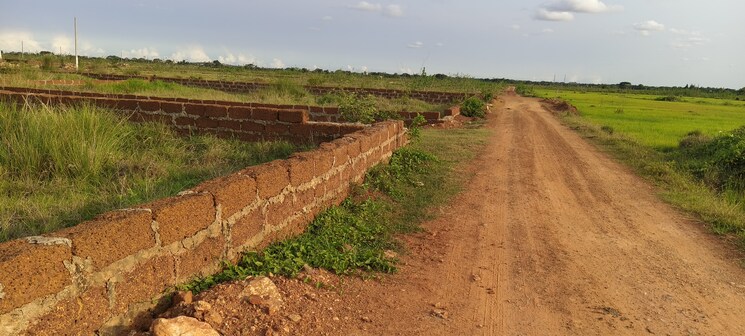 undefined, patrapada  1529 Sq.Ft. Plot In Patrapada Bhubaneswar 8898438