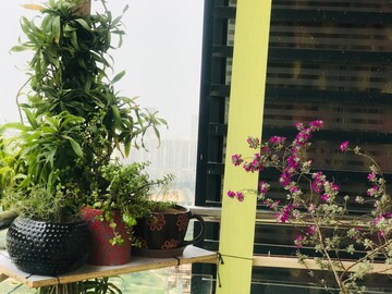Balcony in 3.5 BHK Apartment at Gaur Sportswood, Sector 79 – for Rent
