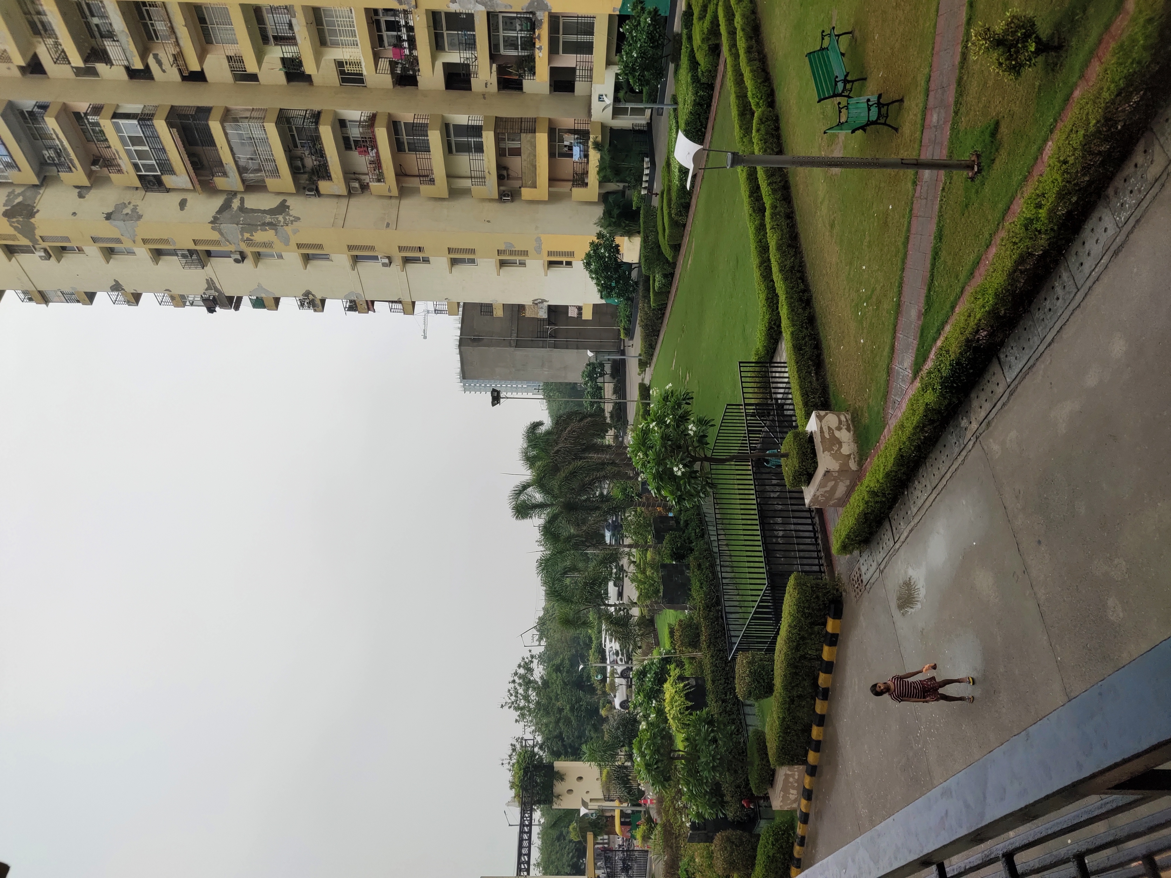 3 BHK Apartment For Rent in Assotech Windsor Court