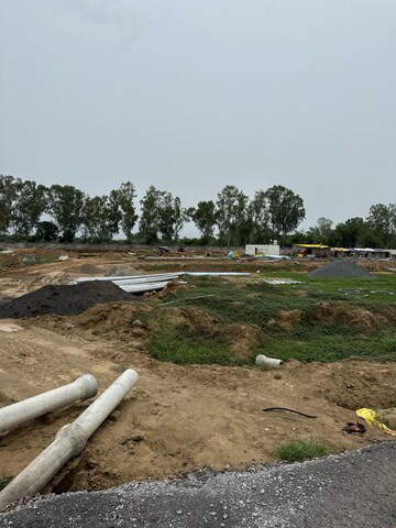 Plot Area in  Plot at Sector 14 – for Sale