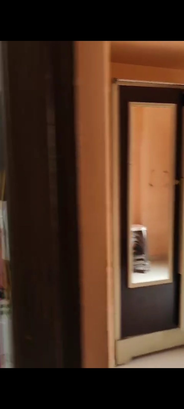 1 Rk+ Pooja Room Apartment For Rent in Bhoomi Acres