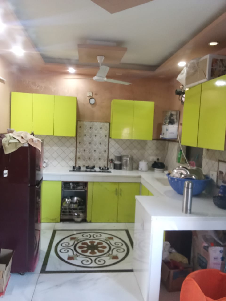 2 BHK + Study Room Independent House For Rent in Sector 9 Panchkula