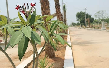 Plot – Exterior View View at Shadnagar - for Sale