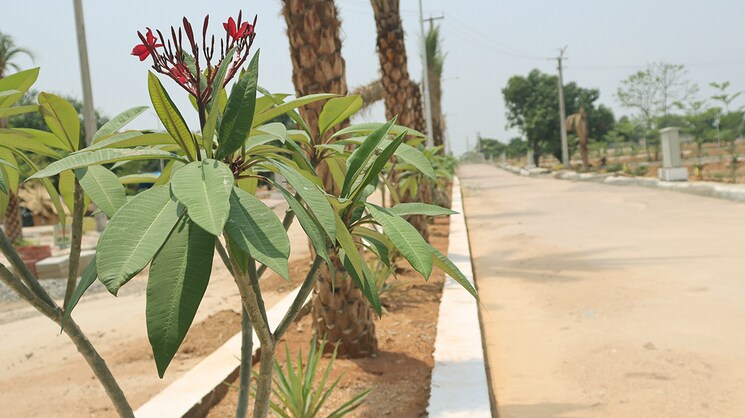 Exterior View, shadnagar  150 Sq.Yd. Plot In Shadnagar Hyderabad 8899239