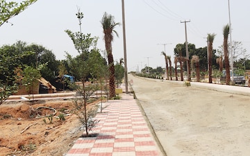 Plot – Exterior View View at Shadnagar - for Sale