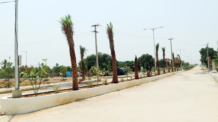 Exterior View, shadnagar  150 Sq.Yd. Plot In Shadnagar Hyderabad 8899239