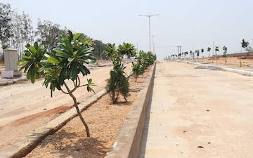 Plot Area in Plot at Shadnagar – for Sale