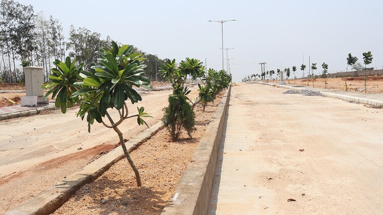 undefined, shadnagar  150 Sq.Yd. Plot In Shadnagar Hyderabad 8899239