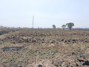  Land For Sale in Dronagiri