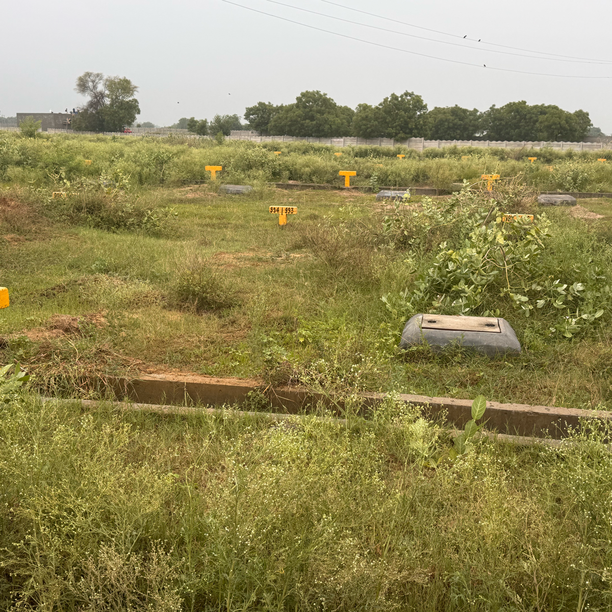 Plot For Sale in YEIDA Plots