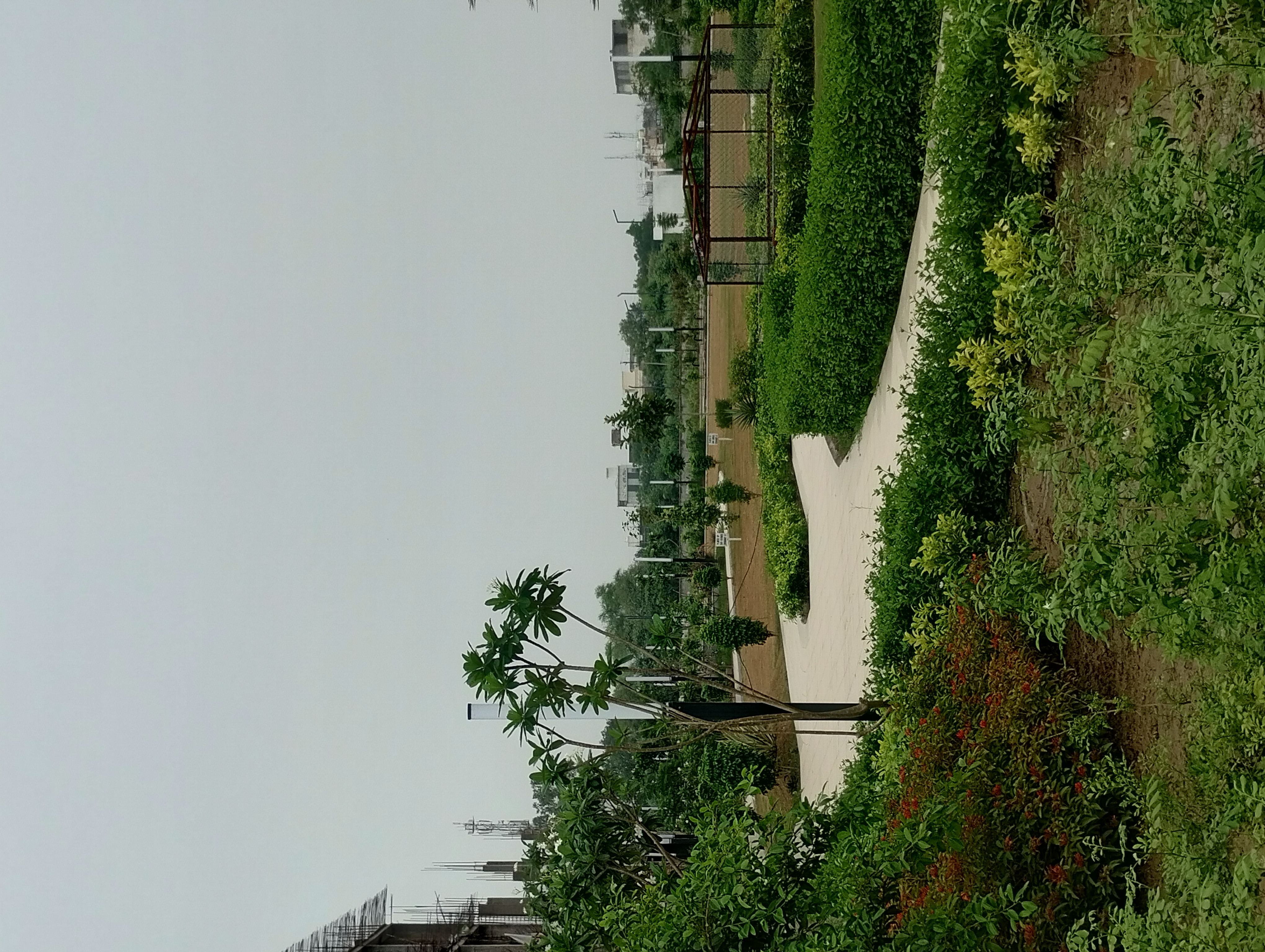 3 BHK 180 Sq.Yd. Builder Floor in Amolik Aster Woods