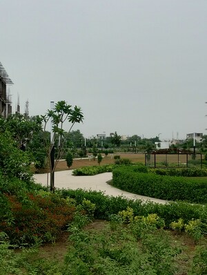 3 BHK Builder Floor For Sale in Amolik Aster Woods, Sector 98