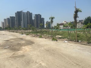  Plot For Sale in Sector 144