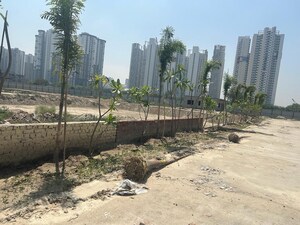  Plot – Exterior View View at Sector 135 - for Sale