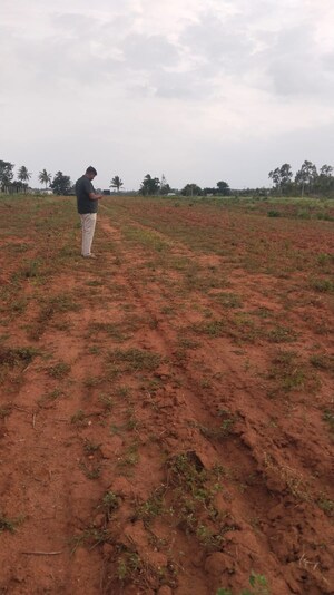  Plot For Sale in Raja Ira, Rajanukunte