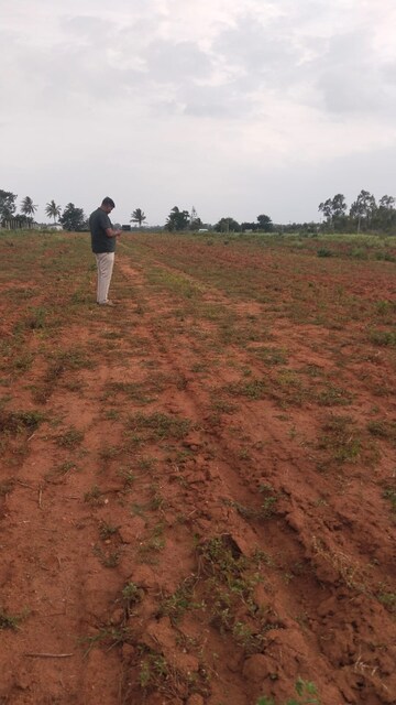  Plot For Sale in Raja Ira, Rajanukunte