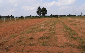 Plot For Sale in Devanahalli