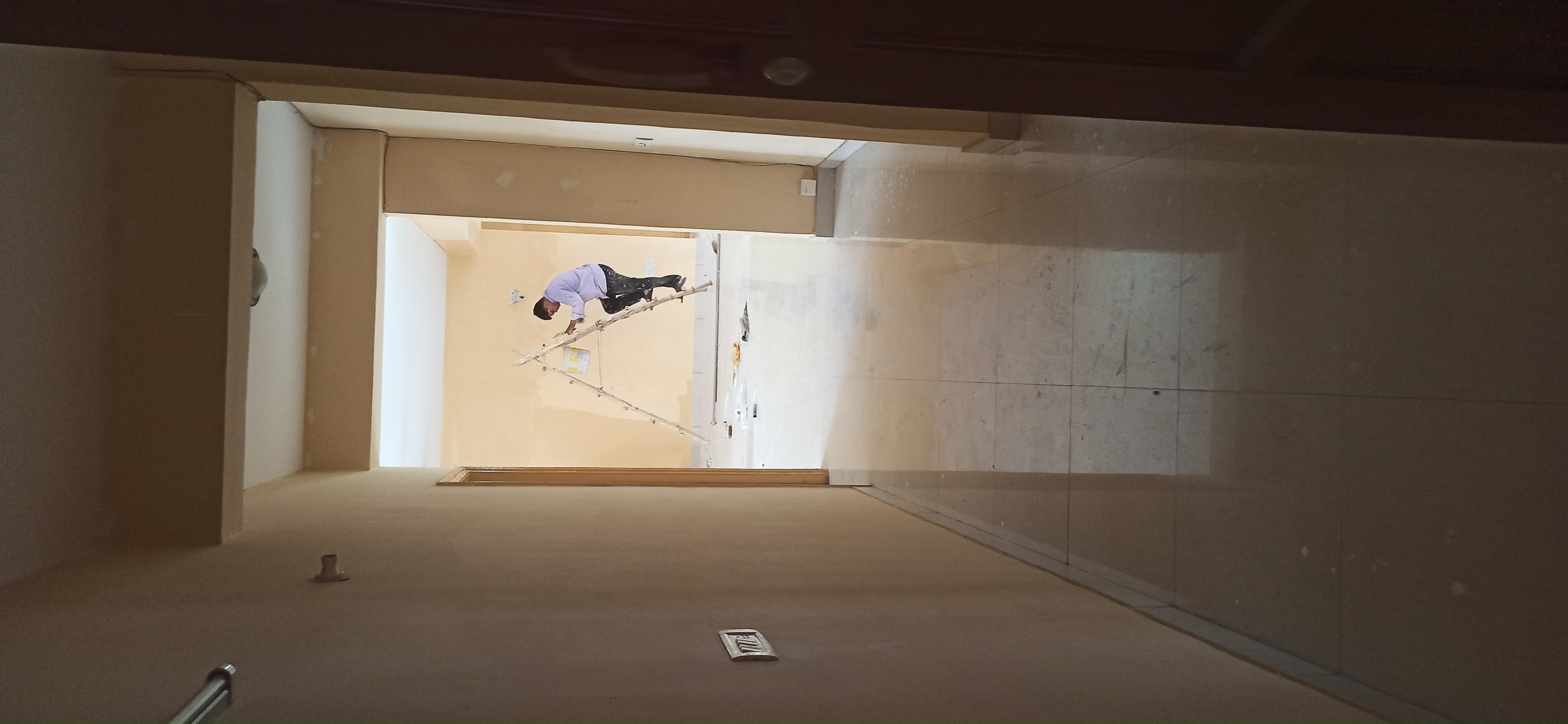 4 BHK + Servant Room Apartment For Rent in Aviation Heights